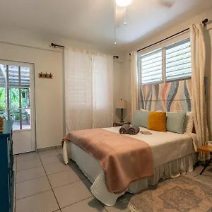 https://casa-pia-suave-2-jungle-seclusion-close-to-ocean.greaterantilleshotels.net